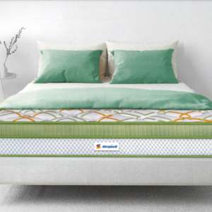 Pro Spinetech Premium